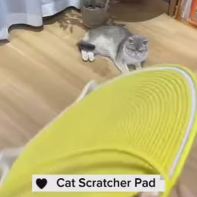 Cat Rest & Play Lounge